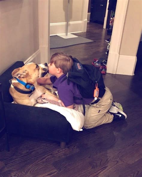 kim zolciak dog chanel|Kim Zolciak Shares Pic of Son Kash Kissing Their Dog That Bit .